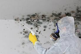 Best Mold Prevention Services in West End, NY